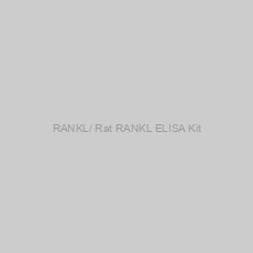Image of RANKL/ Rat RANKL ELISA Kit